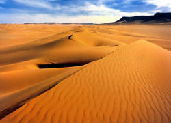 Dunes de sable à Khargah